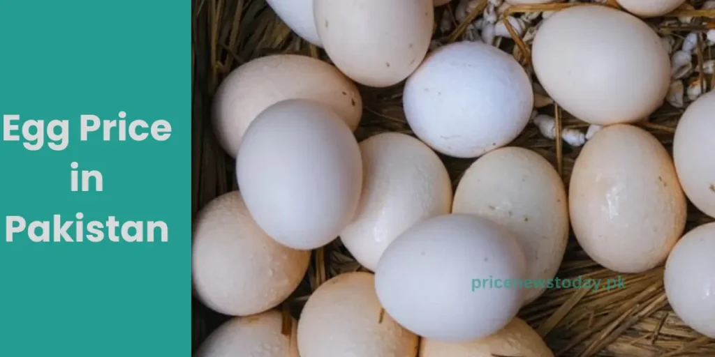 eggs in the basket